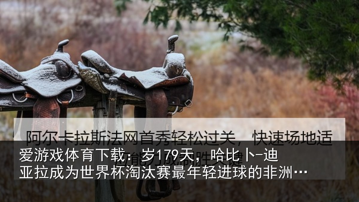 爱游戏体育下载：岁179天，哈比卜-迪亚拉成为世界杯淘汰赛最年轻进球的非洲球员