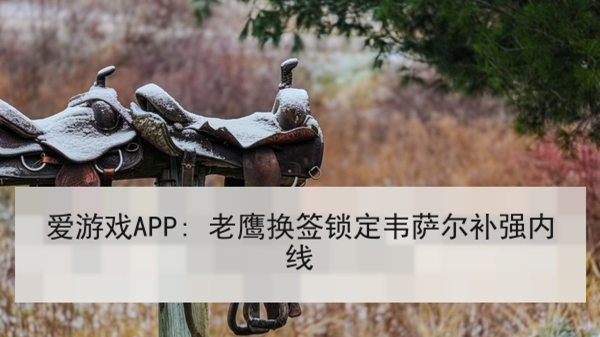 爱游戏APP: 老鹰换签锁定韦萨尔补强内线
