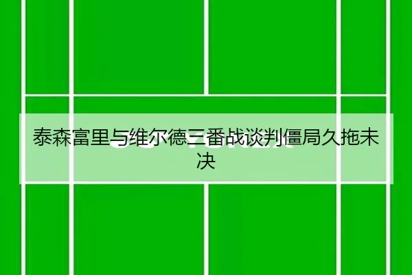 泰森富里与维尔德三番战谈判僵局久拖未决